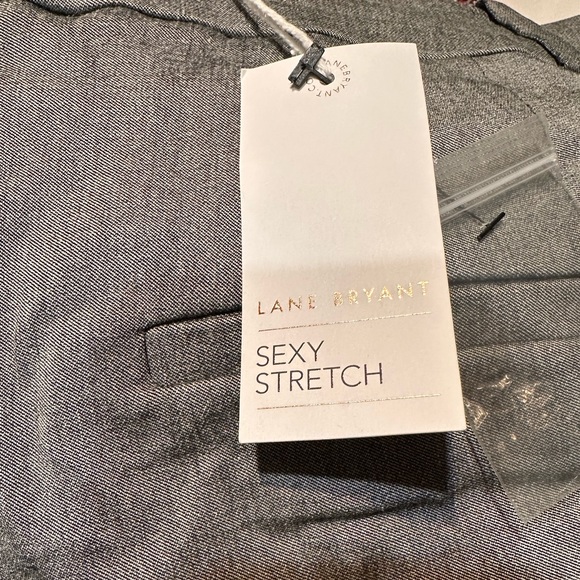 Sexy Stretch Size 16 Gray Dress Pants - Picture 4 of 4